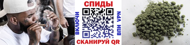 Бутират буратино Северск