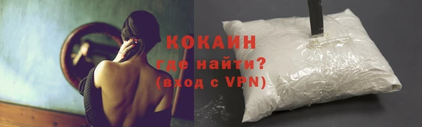 гидропоника Лабытнанги