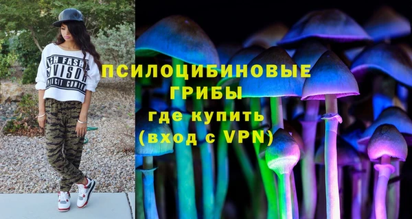 гидропоника Лабытнанги