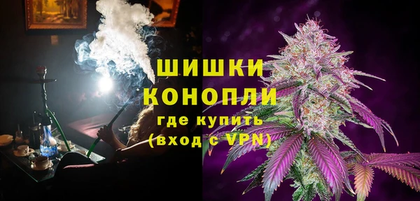 стаф Ладушкин