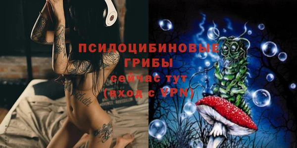 гидропоника Лабытнанги
