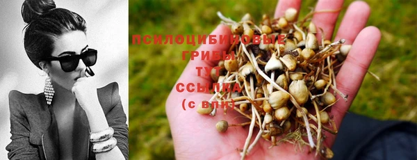 мдпв Лагань