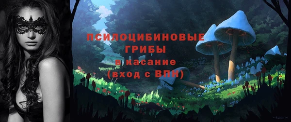 гидропоника Лабытнанги