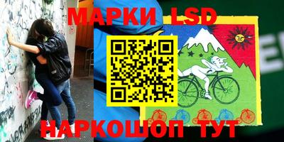 MDMA Premium VHQ Камышлов