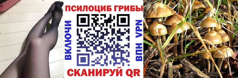 Галлюциногенные грибы мухоморы закладка Северск