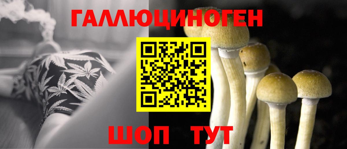 Северск  Псилоцибиновые грибы прущие грибы  где продают   Вход с VPN 