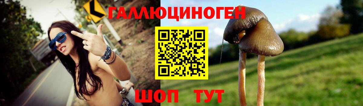 Галлюциногенные грибы Cubensis Северск